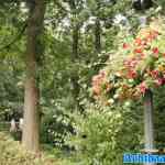 efteling-16-08-2024-013.jpg