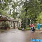 efteling-16-08-2024-014.jpg