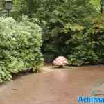 efteling-16-08-2024-080.jpg