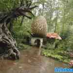 efteling-16-08-2024-093.jpg