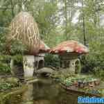 efteling-16-08-2024-094.jpg