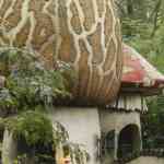 efteling-16-08-2024-095.jpg