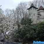 efteling-22-03-2024-031.jpg