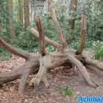 efteling-22-03-2024-042.jpg
