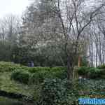 efteling-22-03-2024-081.jpg
