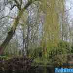 efteling-22-03-2024-089.jpg