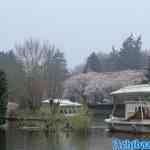 efteling-22-03-2024-097.jpg