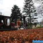 efteling-01-01-2023-182.jpg
