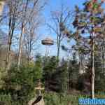 efteling-26-02-2023-258.jpg