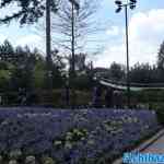 efteling-30-04-2023-038.jpg