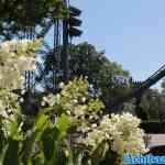 efteling-07-07-2023-023.jpg
