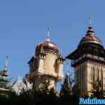 efteling-07-07-2023-031.jpg