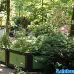 efteling-07-07-2023-039.jpg