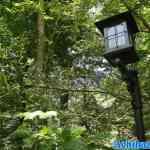 efteling-07-07-2023-047.jpg