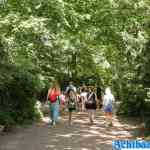 efteling-07-07-2023-050.jpg