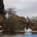efteling-23-11-2023-020.jpg