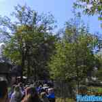 efteling-31-05-2022-028.jpg