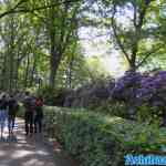 efteling-31-05-2022-034.jpg