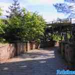 efteling-31-05-2022-040.jpg