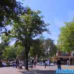 efteling-31-05-2022-071.jpg