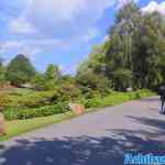 efteling-31-05-2022-082.jpg