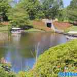 efteling-31-05-2022-083.jpg