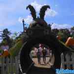 efteling-31-05-2022-100.jpg