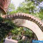 efteling-31-05-2022-120.jpg