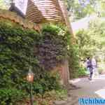 efteling-31-05-2022-122.jpg