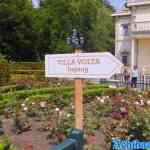 efteling-31-05-2022-132.jpg