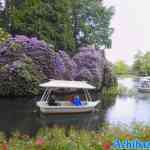 efteling-31-05-2022-151.jpg