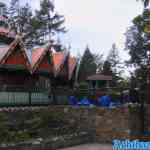 efteling-31-05-2022-152.jpg