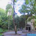 efteling-31-05-2022-164.jpg
