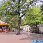 efteling-01-07-2022-026.jpg
