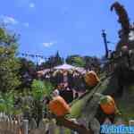 efteling-01-07-2022-031.jpg