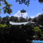 efteling-01-07-2022-032.jpg