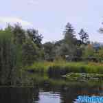 efteling-01-07-2022-082.jpg