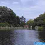 efteling-01-07-2022-092.jpg