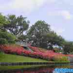 efteling-01-07-2022-095.jpg