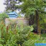 efteling-01-07-2022-099.jpg