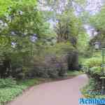 efteling-01-07-2022-106.jpg