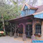 efteling-01-07-2022-131.jpg