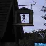 efteling-01-07-2022-132.jpg