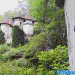 efteling-01-07-2022-150.jpg
