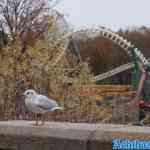 efteling-04-12-2022-068.jpg