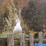 efteling-04-12-2022-112.jpg
