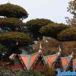 efteling-04-12-2022-114.jpg