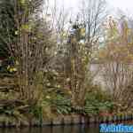efteling-04-12-2022-121.jpg