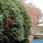 efteling-04-12-2022-127.jpg