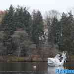 efteling-04-12-2022-143.jpg